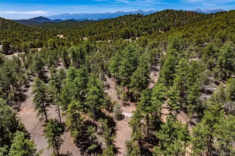 2417 Indian Wells Road Cotopaxi CO 81223