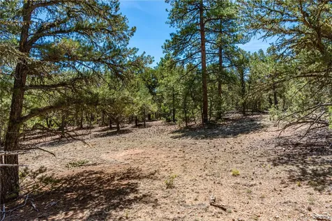 2417 Indian Wells Road Cotopaxi CO 81223