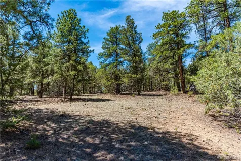 2417 Indian Wells Road Cotopaxi CO 81223