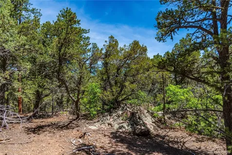 2417 Indian Wells Road Cotopaxi CO 81223