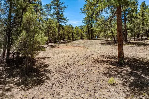 2417 Indian Wells Road Cotopaxi CO 81223