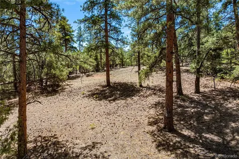 2417 Indian Wells Road Cotopaxi CO 81223