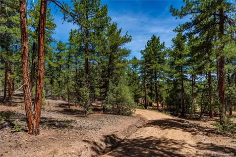 2417 Indian Wells Road Cotopaxi CO 81223