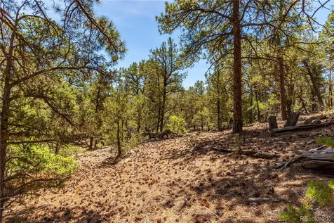 2417 Indian Wells Road Cotopaxi CO 81223