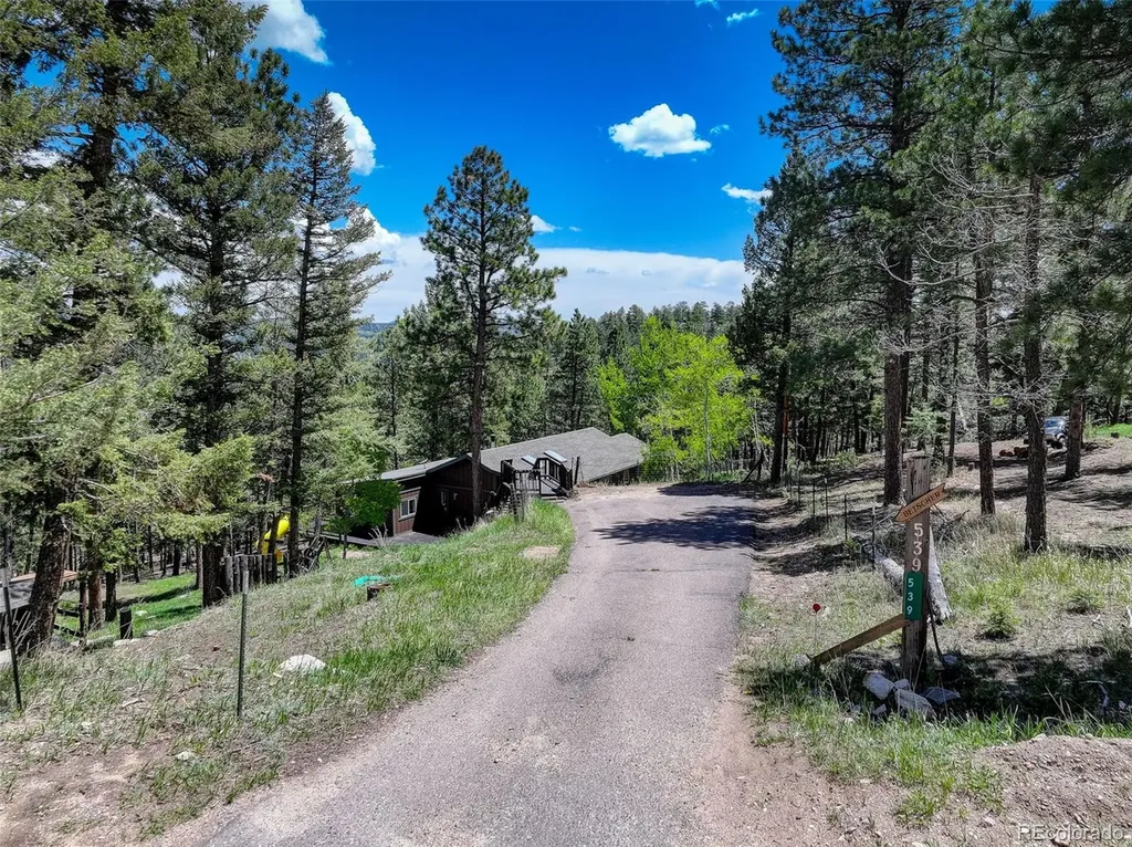 539 S Random Road Bailey CO 80421
