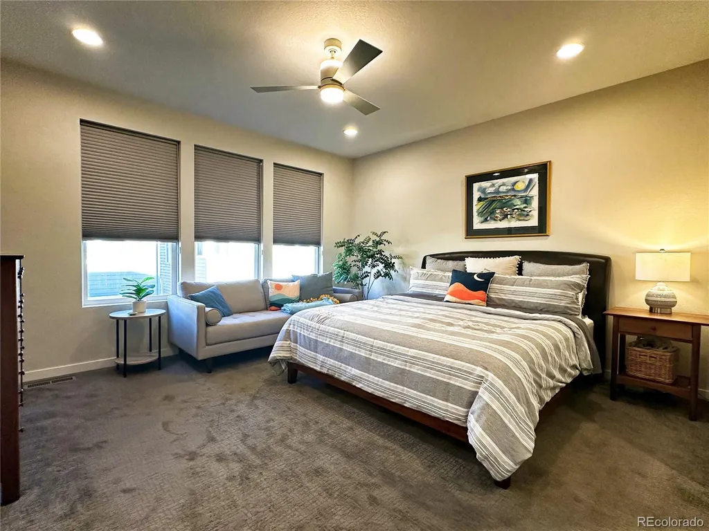 9029 Ramblestone Street Highlands Ranch CO 80129