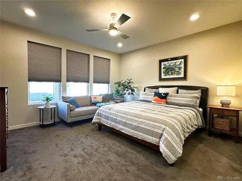 9029 Ramblestone Street Highlands Ranch CO 80129