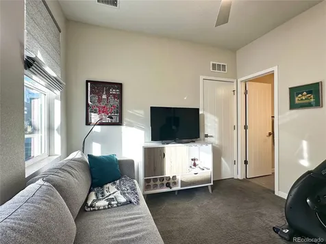 9029 Ramblestone Street Highlands Ranch CO 80129