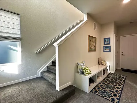 9029 Ramblestone Street Highlands Ranch CO 80129