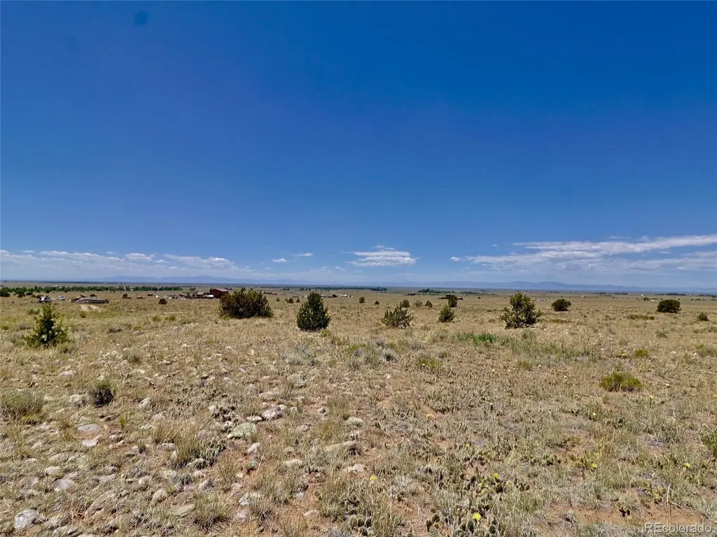 171 Gold Rush Trail Crestone CO 81131