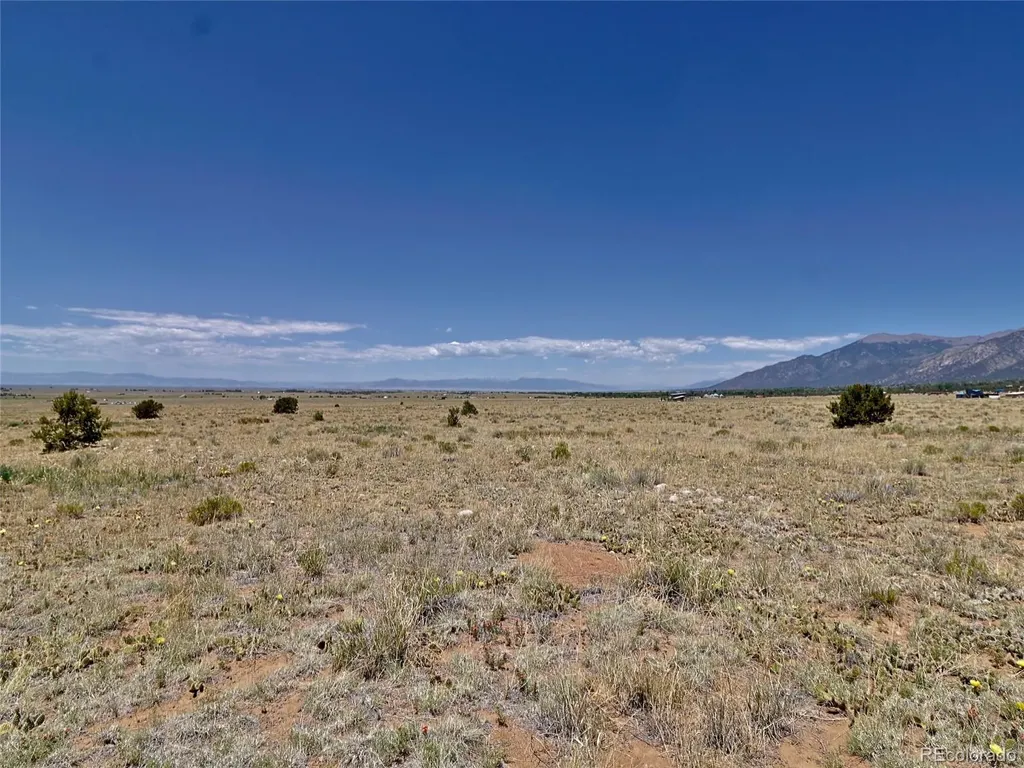 171 Gold Rush Trail Crestone CO 81131