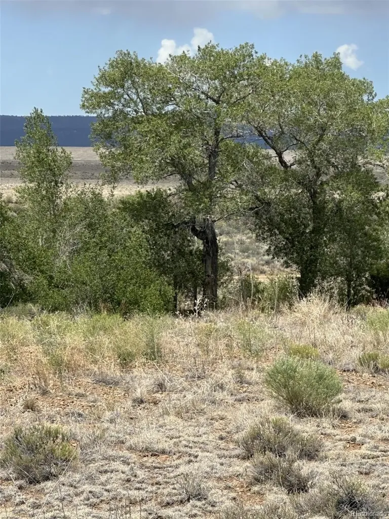 Lot 95 Prairie Wind Lane Capulin CO 81124