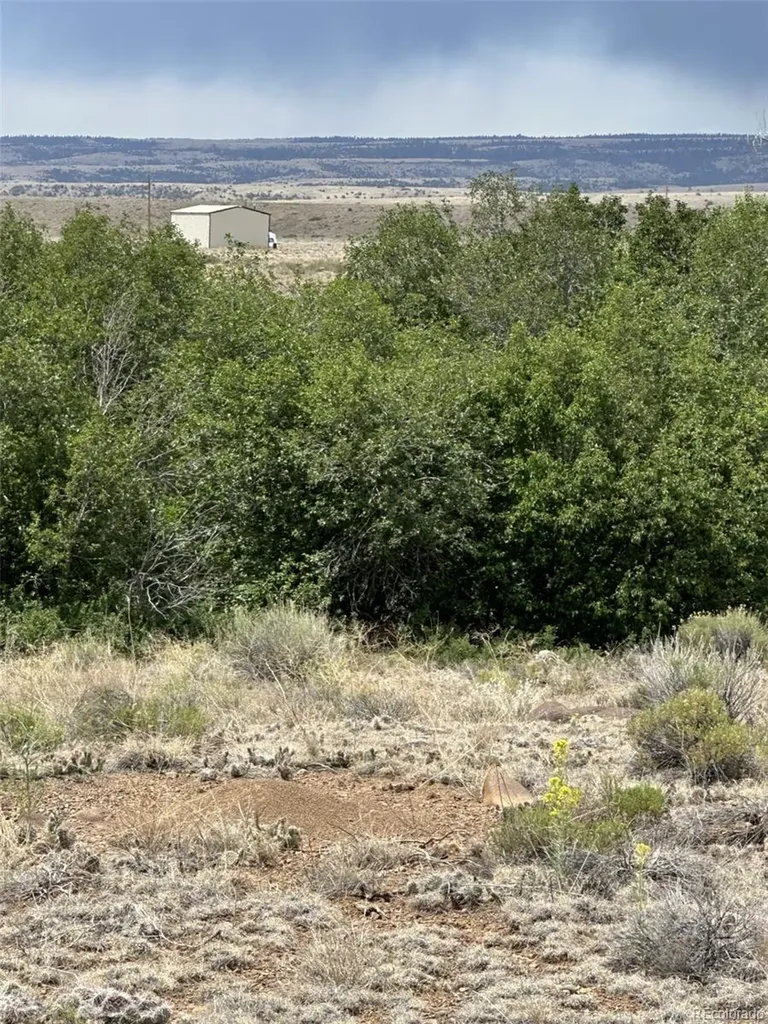 Lot 95 Prairie Wind Lane Capulin CO 81124