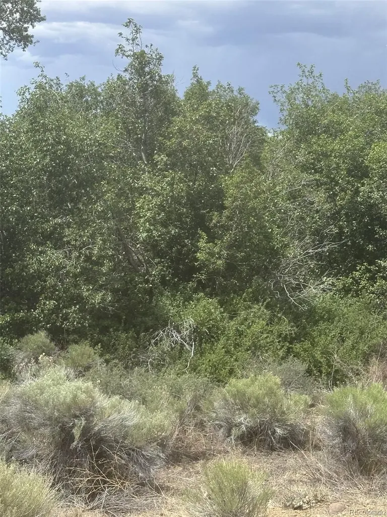 Lot 95 Prairie Wind Lane Capulin CO 81124
