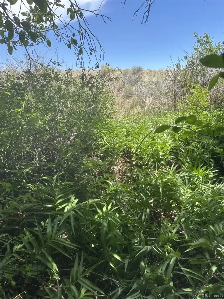Lot 95 Prairie Wind Lane Capulin CO 81124