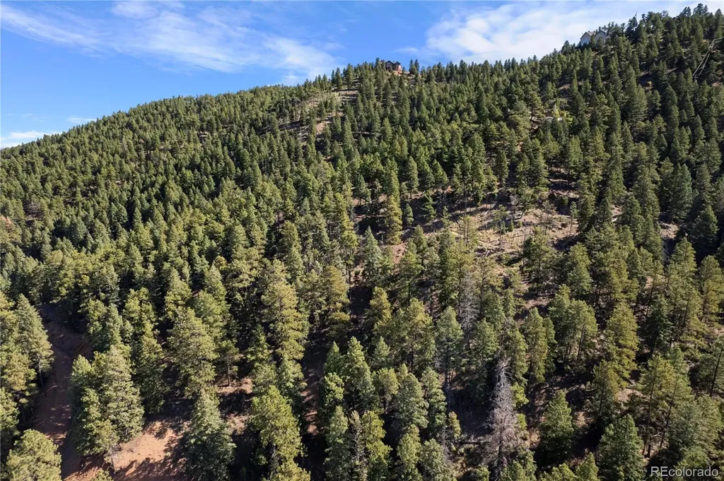 13126 Andiron Way Larkspur CO 80118