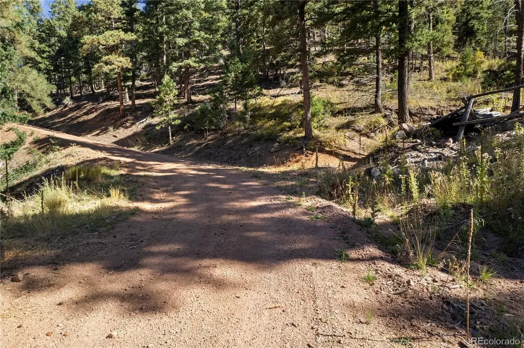 13126 Andiron Way Larkspur CO 80118