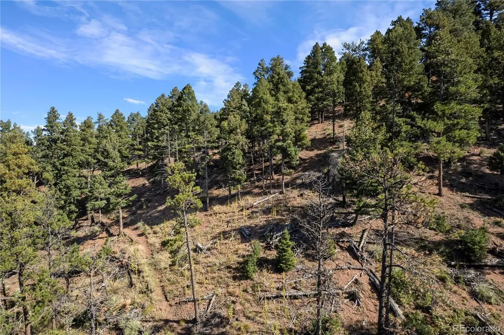 13126 Andiron Way Larkspur CO 80118