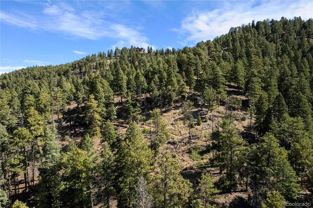 13126 Andiron Way Larkspur CO 80118