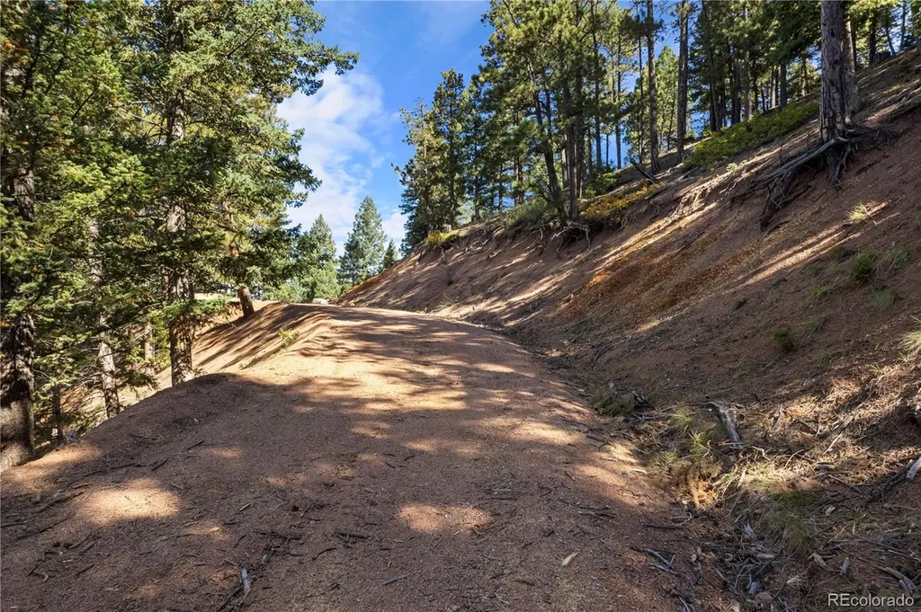13126 Andiron Way Larkspur CO 80118