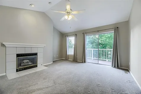 8703 Wentworth Court Lone Tree CO 80124
