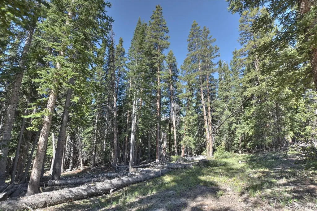 5680 Timberline Terrace Fairplay CO 80440