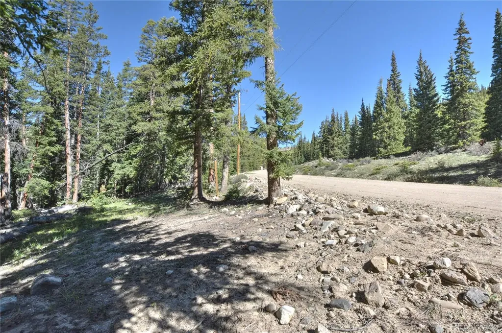 5680 Timberline Terrace Fairplay CO 80440