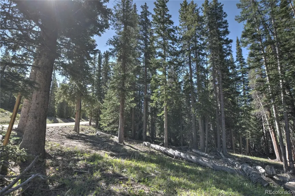 5680 Timberline Terrace Fairplay CO 80440