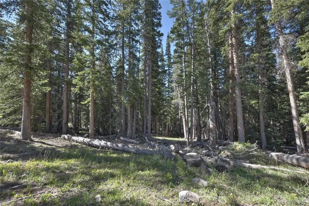 5680 Timberline Terrace Fairplay CO 80440