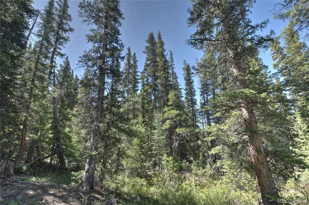 5680 Timberline Terrace Fairplay CO 80440
