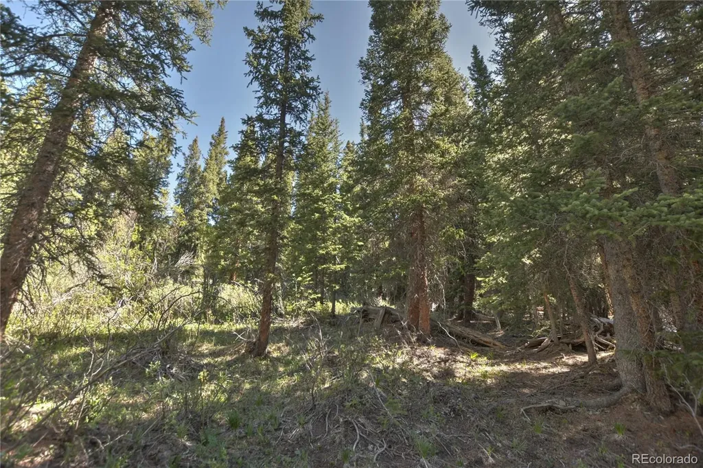 5680 Timberline Terrace Fairplay CO 80440