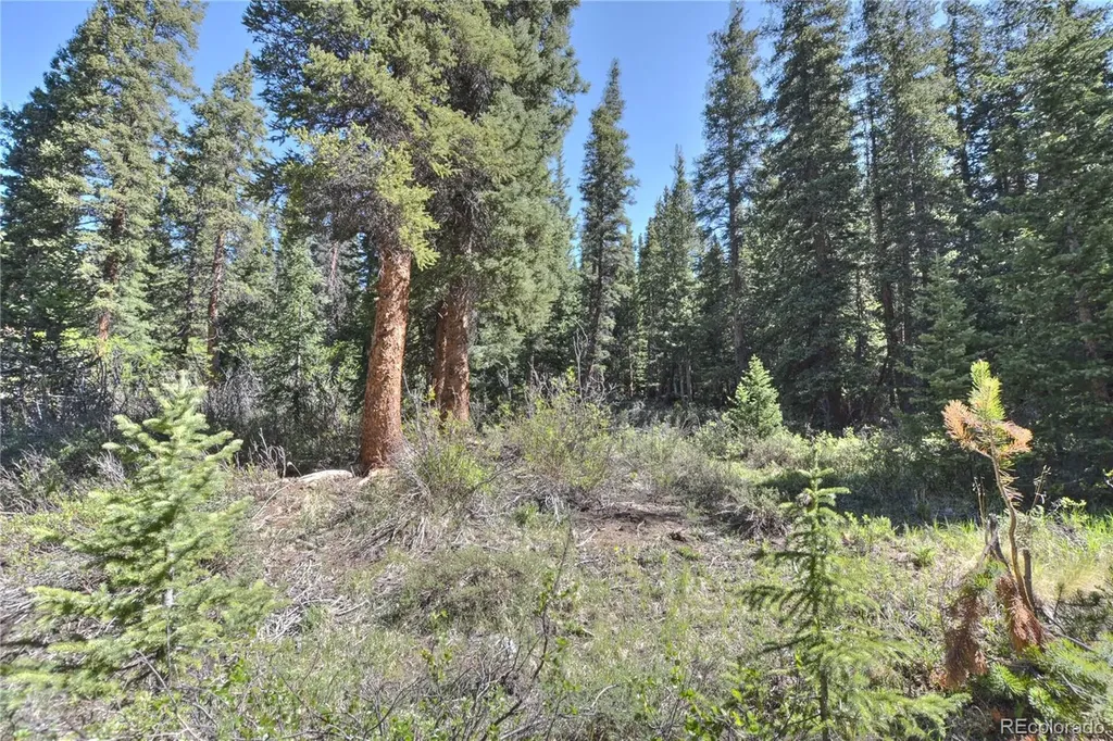 5680 Timberline Terrace Fairplay CO 80440