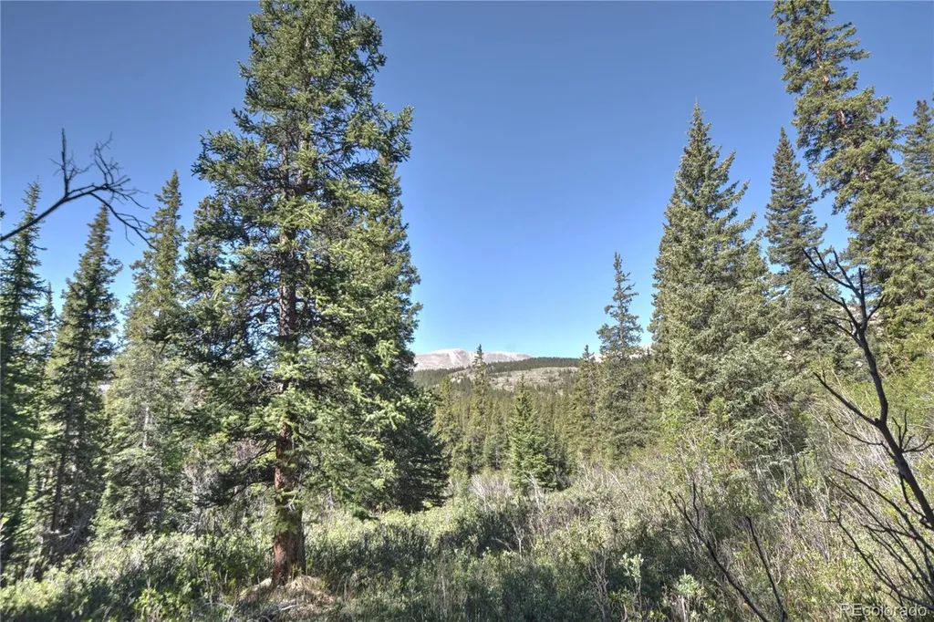 5680 Timberline Terrace Fairplay CO 80440