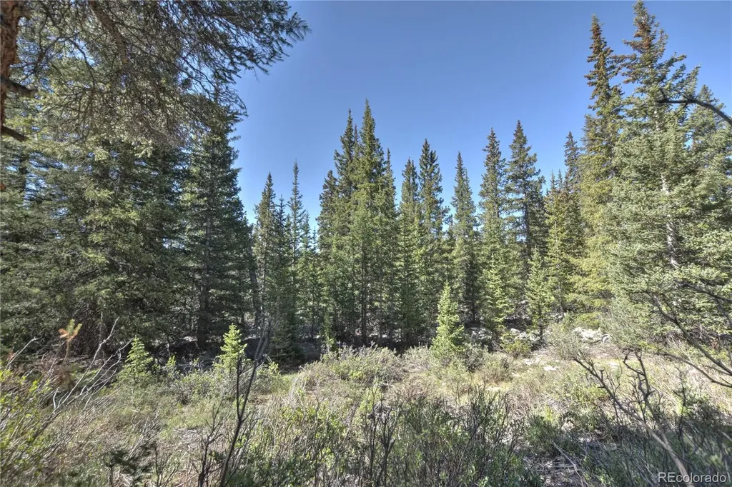 5680 Timberline Terrace Fairplay CO 80440