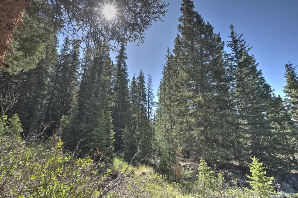 5680 Timberline Terrace Fairplay CO 80440