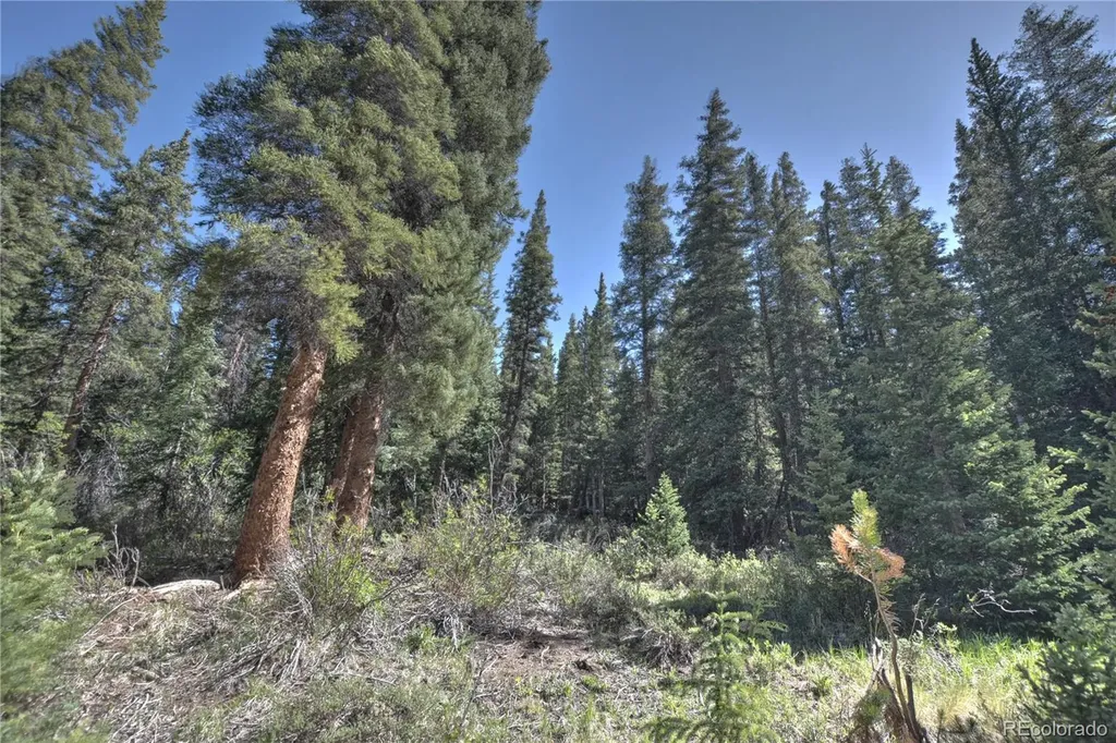 5680 Timberline Terrace Fairplay CO 80440