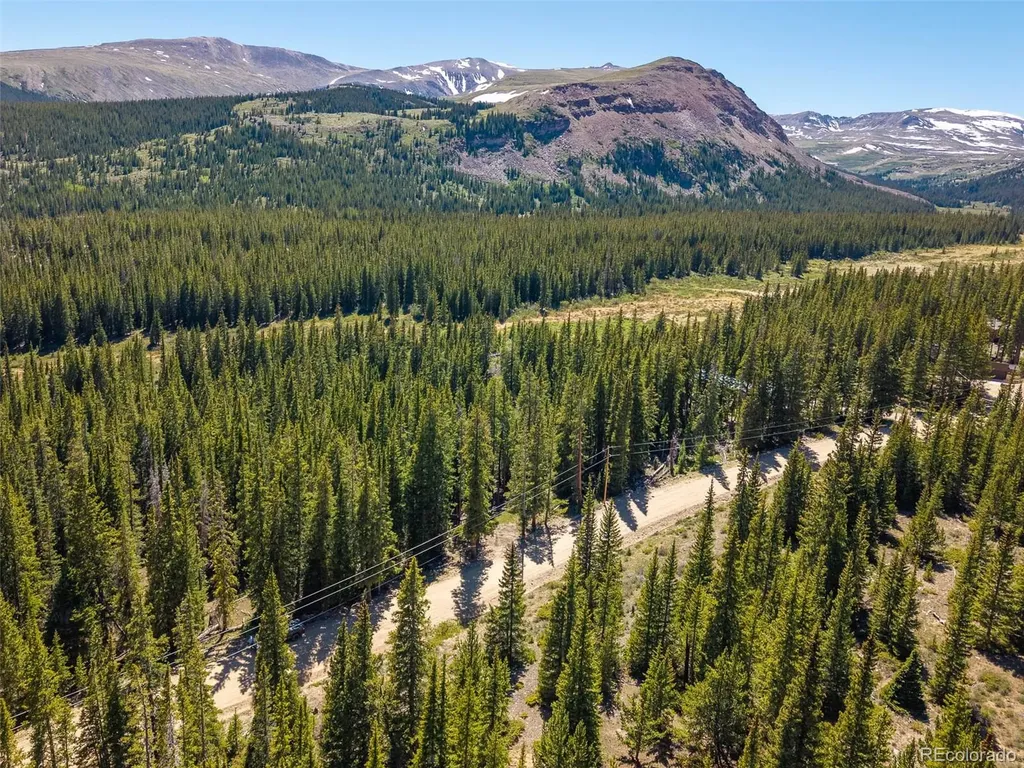 5680 Timberline Terrace Fairplay CO 80440
