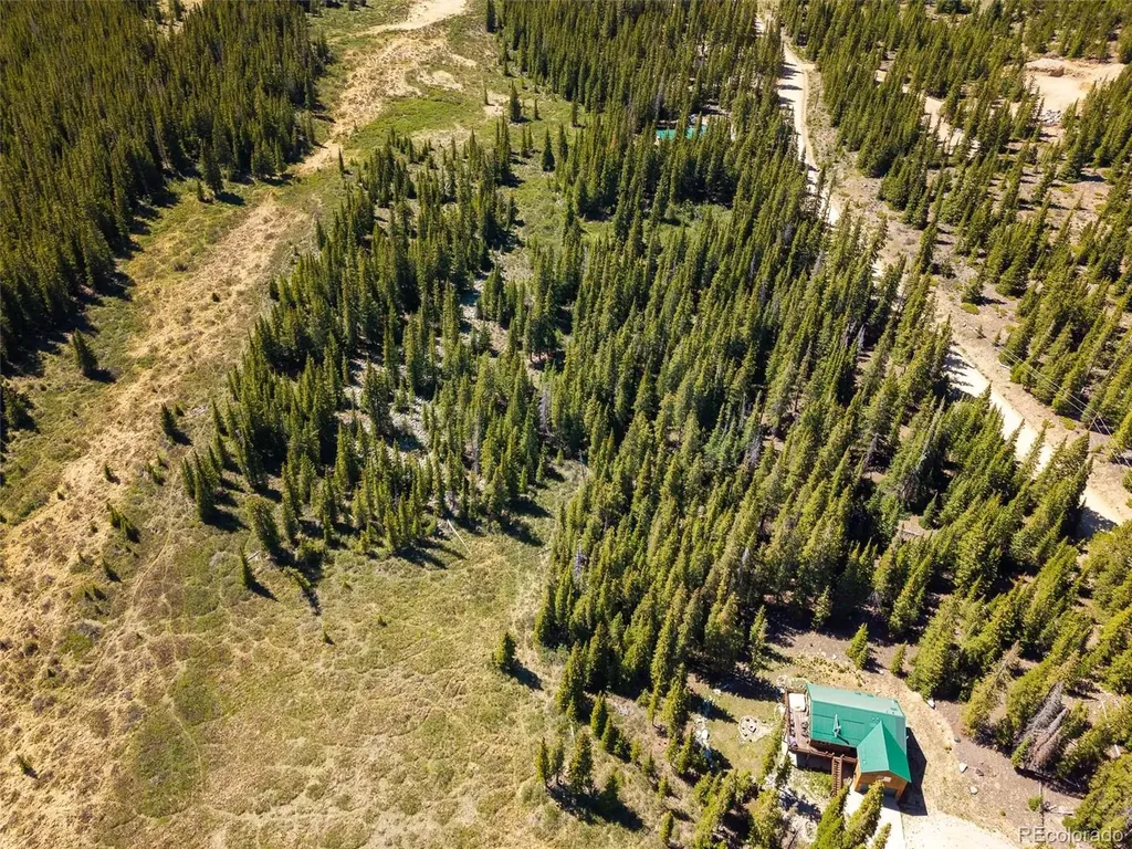 5680 Timberline Terrace Fairplay CO 80440
