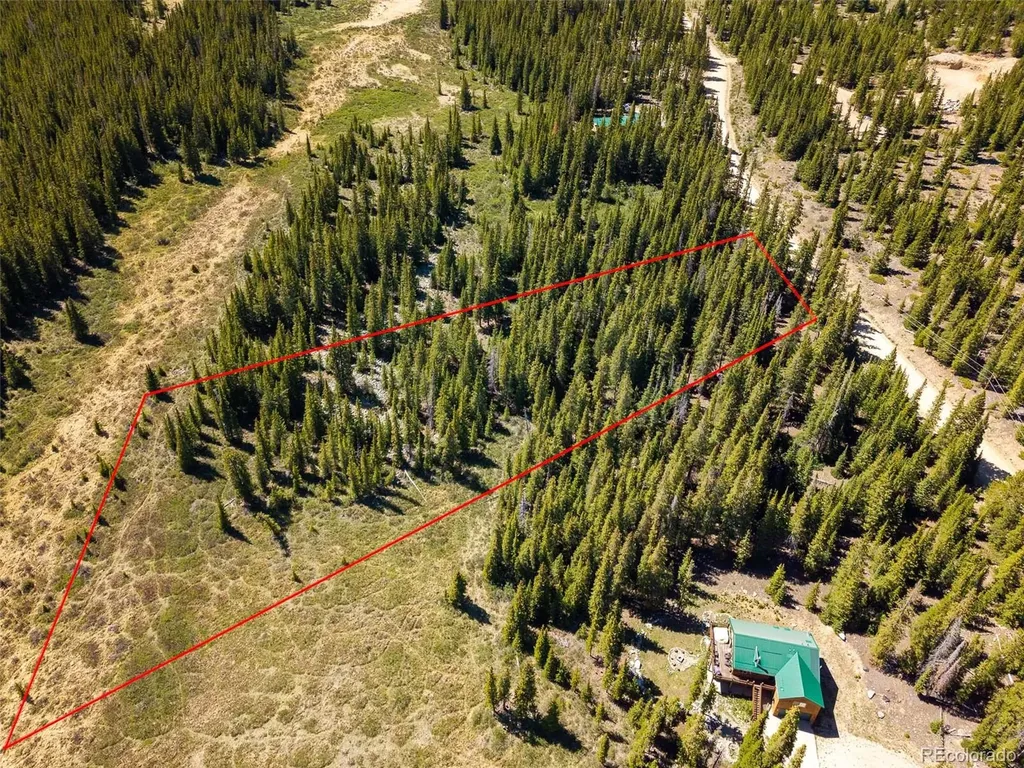5680 Timberline Terrace Fairplay CO 80440