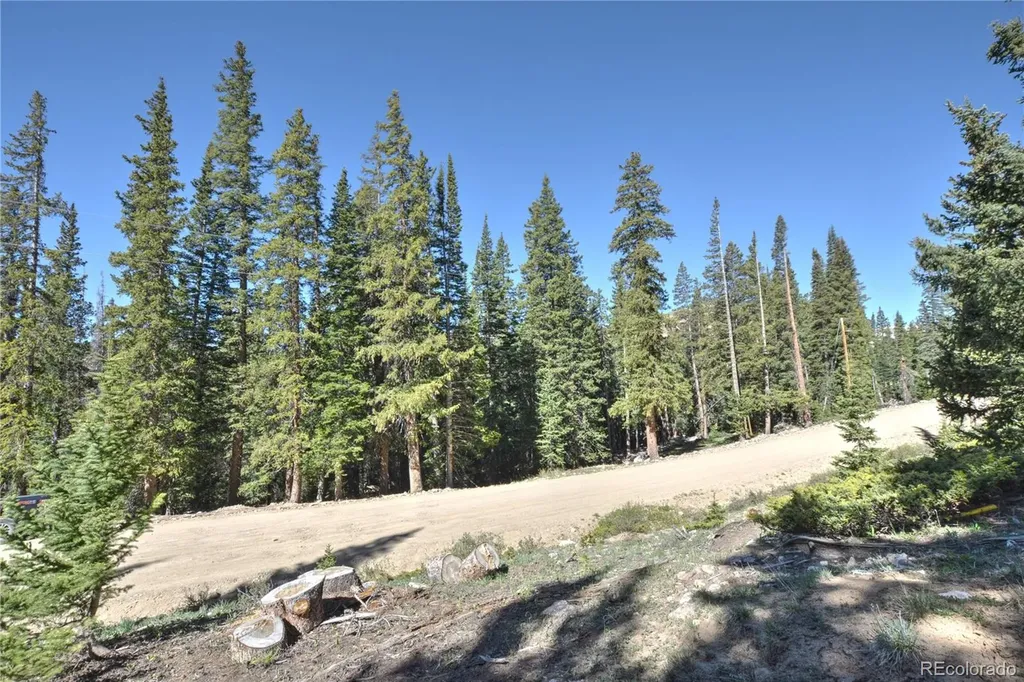 5680 Timberline Terrace Fairplay CO 80440