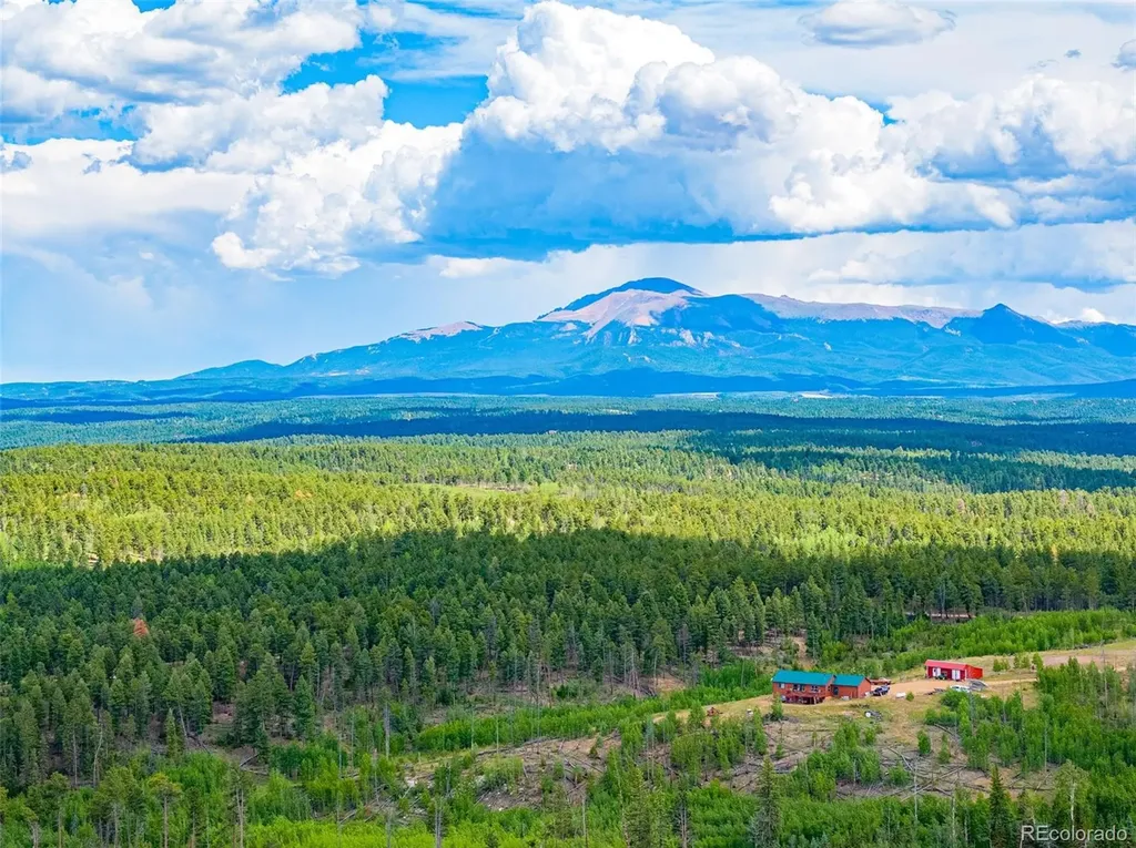 Lot 4 County Road 51 Florissant CO 80816