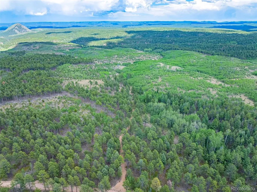 Lot 4 County Road 51 Florissant CO 80816