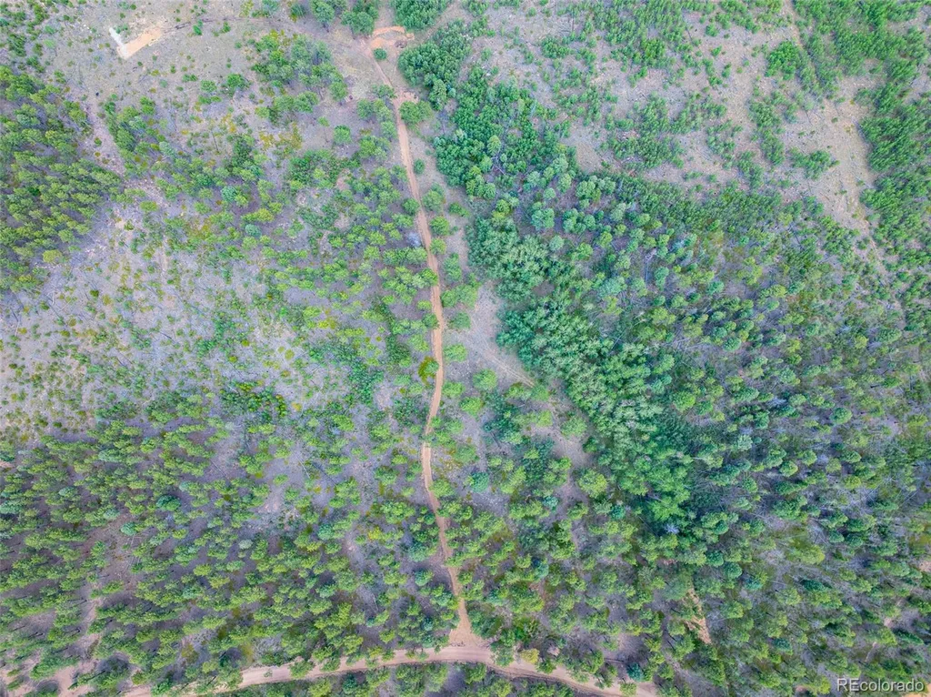 Lot 4 County Road 51 Florissant CO 80816