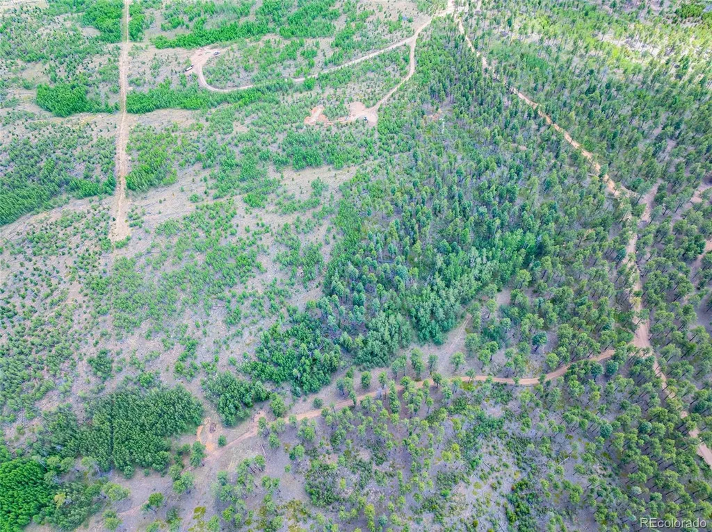 Lot 4 County Road 51 Florissant CO 80816
