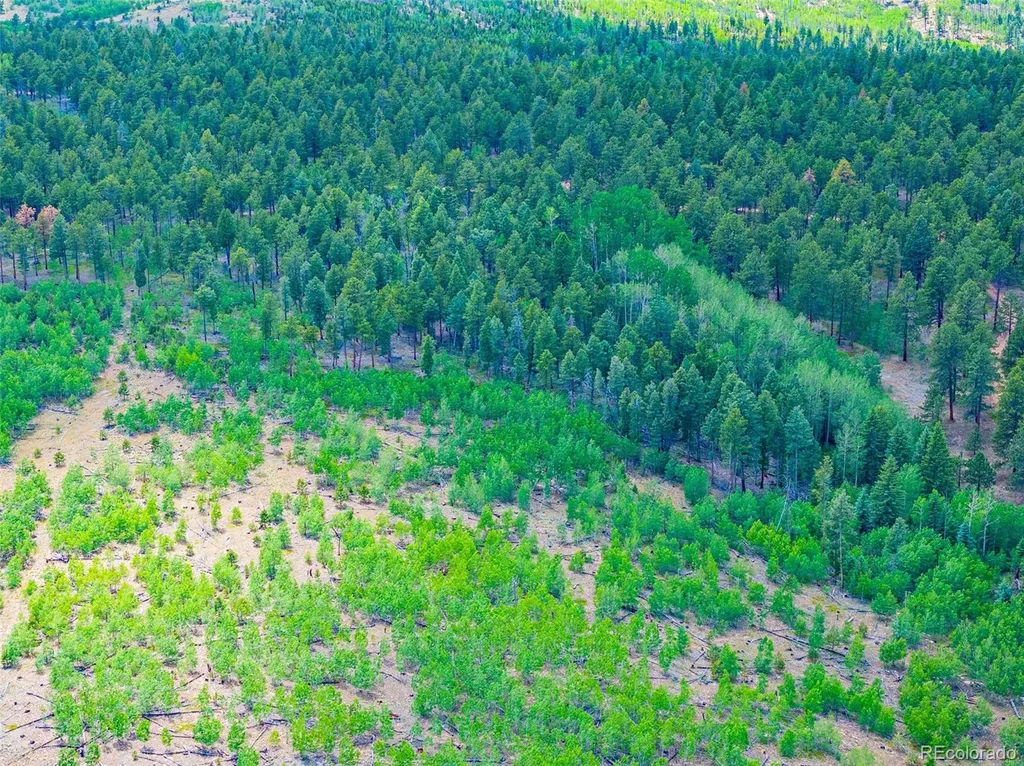 Lot 4 County Road 51 Florissant CO 80816