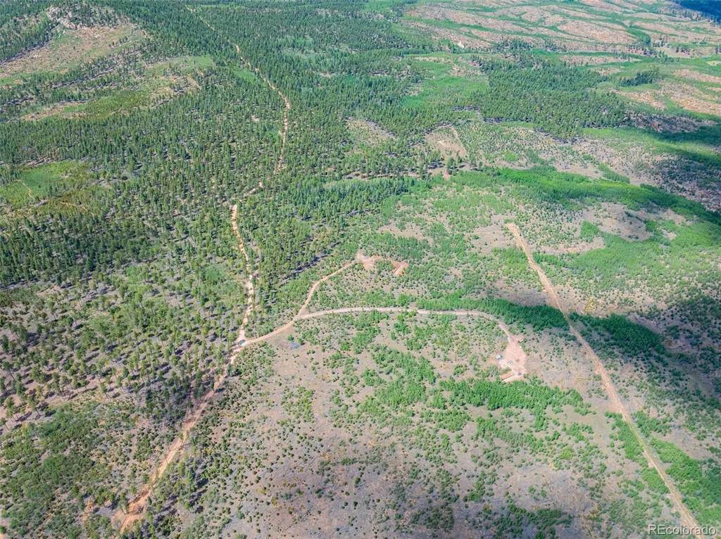Lot 4 County Road 51 Florissant CO 80816