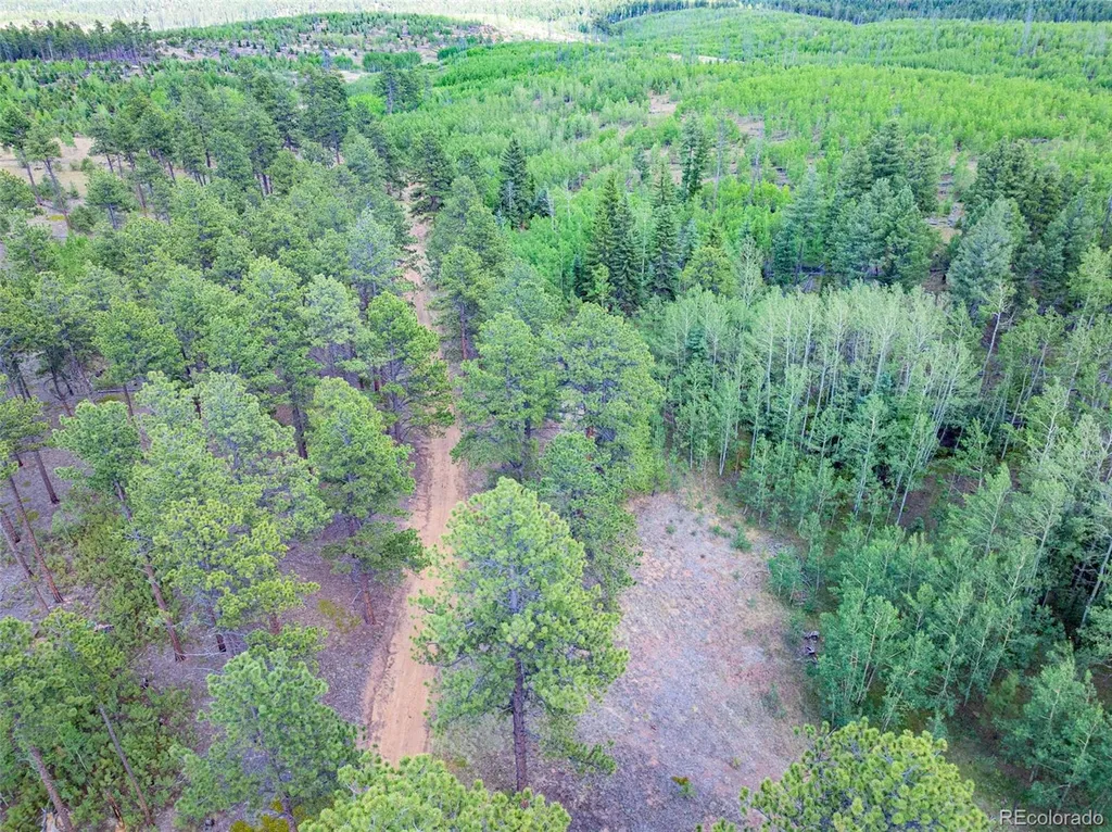 Lot 4 County Road 51 Florissant CO 80816