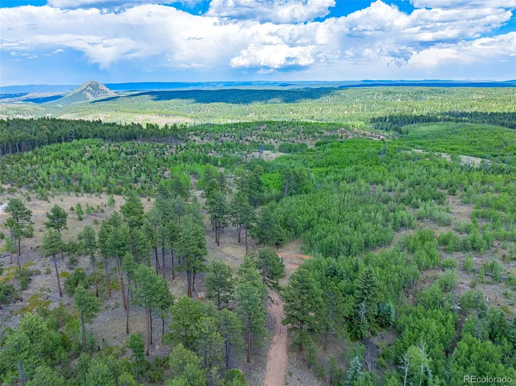 Lot 4 County Road 51 Florissant CO 80816