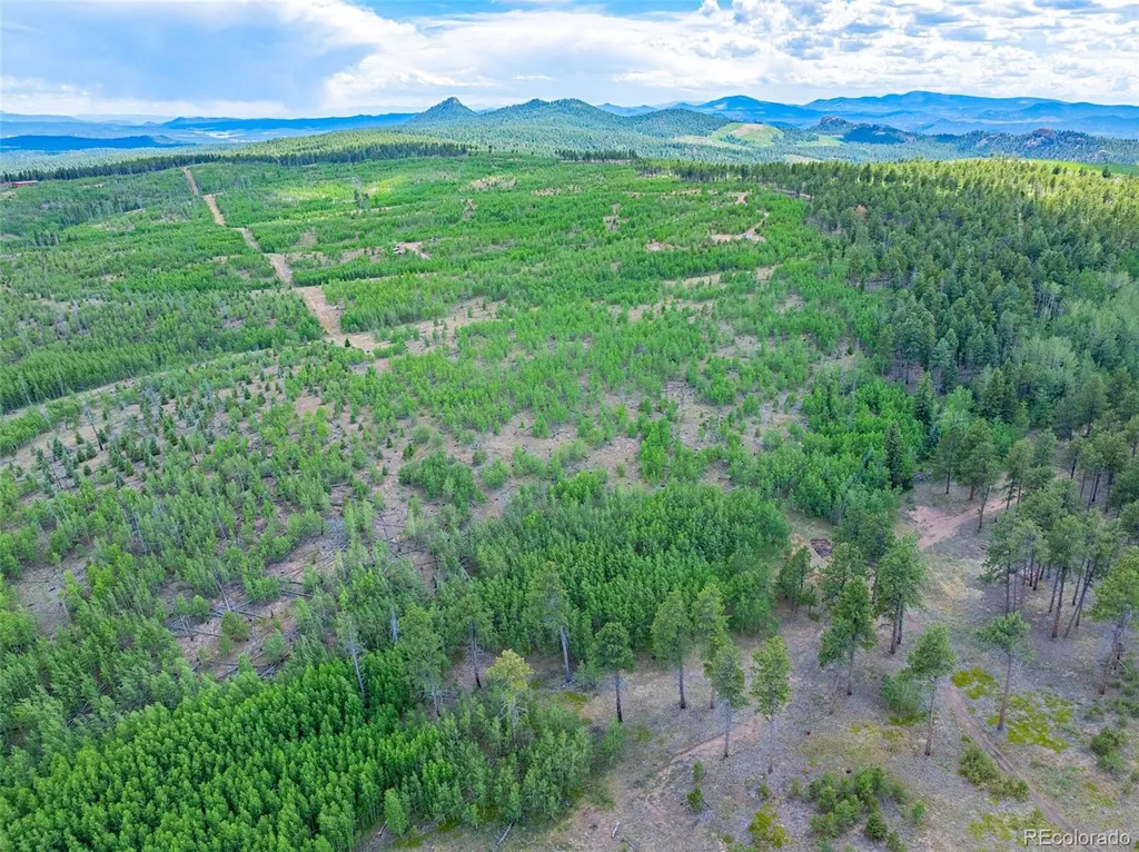 Lot 4 County Road 51 Florissant CO 80816