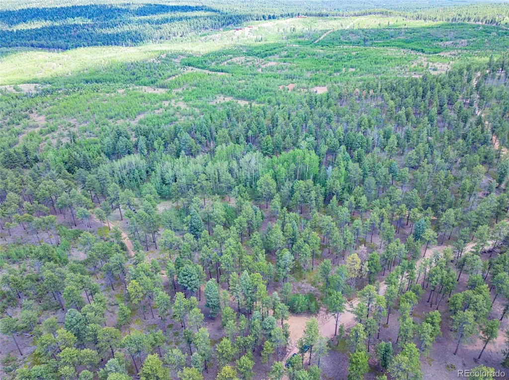 Lot 4 County Road 51 Florissant CO 80816